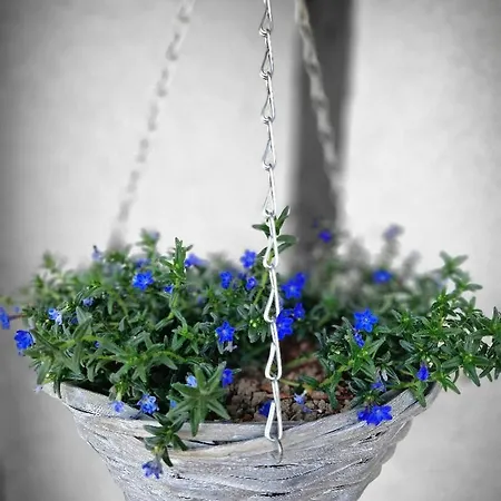 Reschwitzer Auszeit *