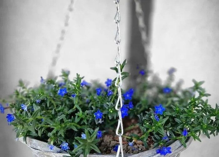 Reschwitzer Auszeit *